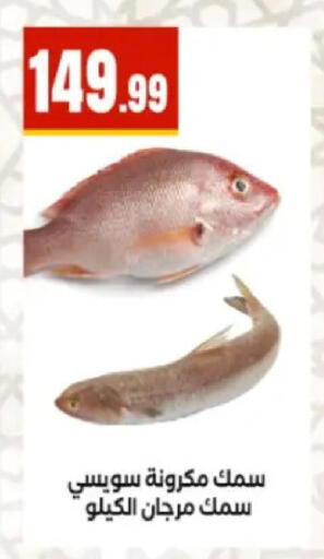 available at المحلاوي ستورز in Egypt - القاهرة