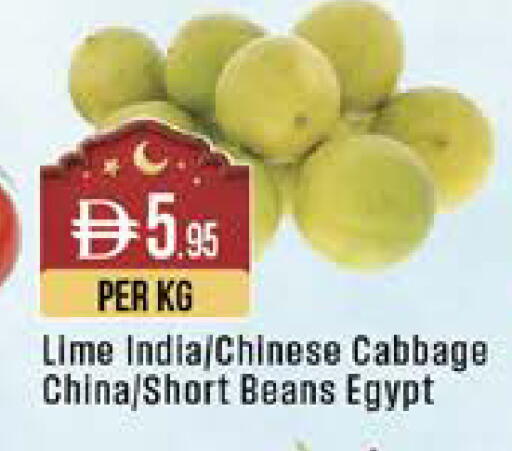 Cabbage from India China Egypt available at West Zone Supermarket in UAE - Dubai