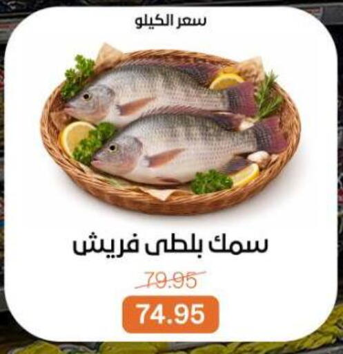 available at بيت الجملة in Egypt - القاهرة