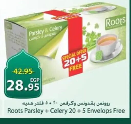 Parsley Celery available at سبينس in Egypt - القاهرة