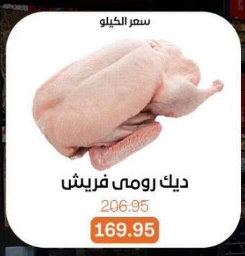 available at بيت الجملة in Egypt - القاهرة