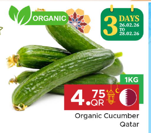 Cucumber from Qatar available at Family Food Centre in Qatar - Doha