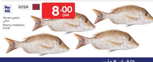 available at Carrefour in Qatar - Doha