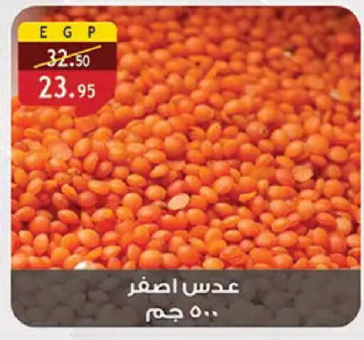 available at الرايه  ماركت in Egypt - القاهرة