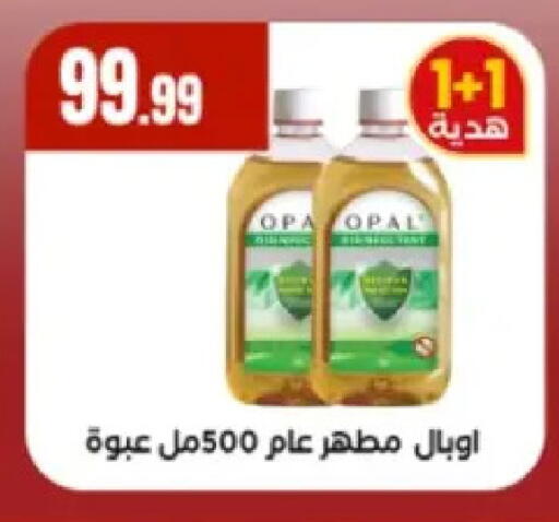 available at المحلاوي ستورز in Egypt - القاهرة