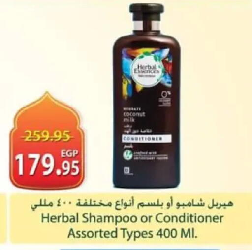 Coconut available at سبينس in Egypt - القاهرة