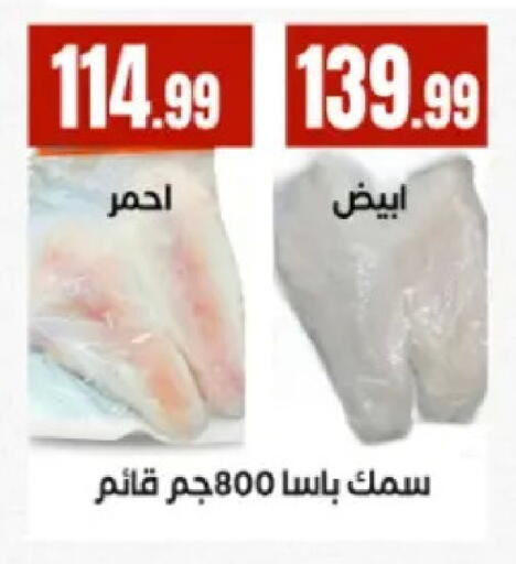 available at المحلاوي ستورز in Egypt - القاهرة