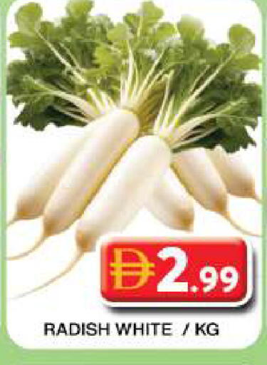 Radish available at جراند هايبر ماركت in الإمارات العربية المتحدة , الامارات - دبي
