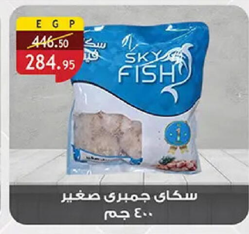 available at Al Rayah Market   in Egypt - Cairo