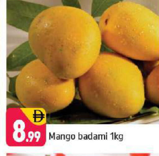 Mango available at Shaklan  in UAE - Dubai