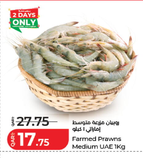 available at لولو هايبرماركت in قطر - أم صلال