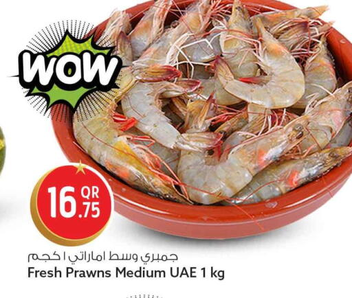 available at سفاري هايبر ماركت in قطر - الخور