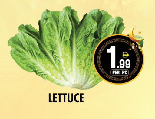 Lettuce available at نايت تو نايت in الإمارات العربية المتحدة , الامارات - الشارقة / عجمان