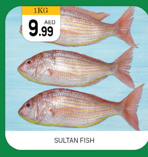 available at TALAL MARKET in UAE - Dubai