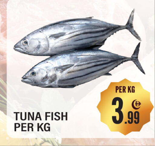 available at Dream Land in UAE - Sharjah / Ajman