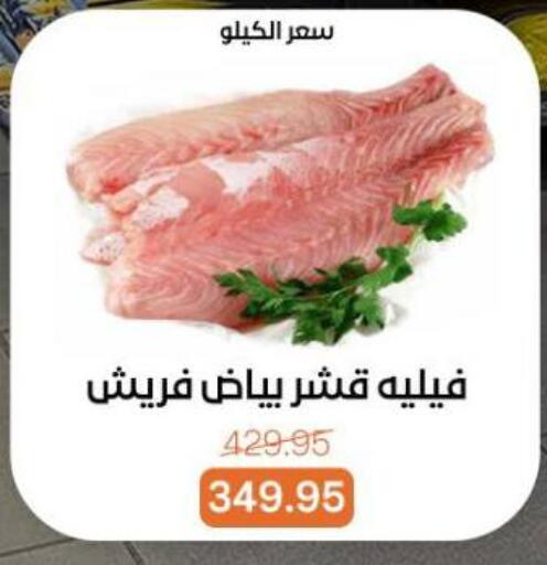 available at بيت الجملة in Egypt - القاهرة