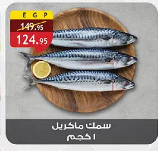 available at Al Rayah Market   in Egypt - Cairo