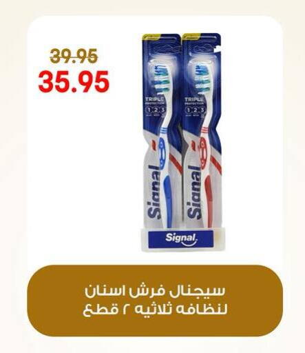 available at جيان مصر in Egypt - القاهرة