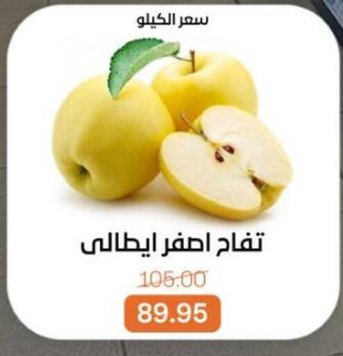 available at بيت الجملة in Egypt - القاهرة