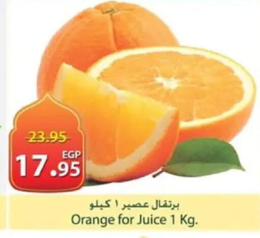 Orange available at Spinneys  in Egypt - Cairo