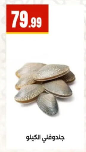 available at المحلاوي ستورز in Egypt - القاهرة