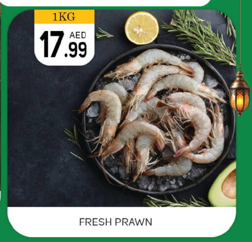 available at TALAL MARKET in UAE - Dubai