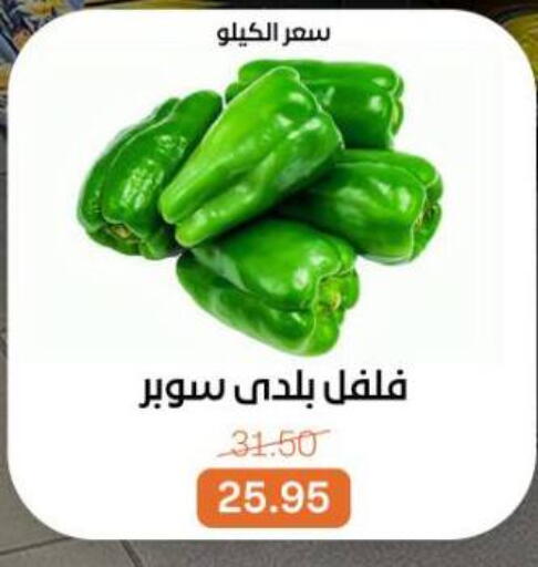 available at Beit El Gomla in Egypt - Cairo