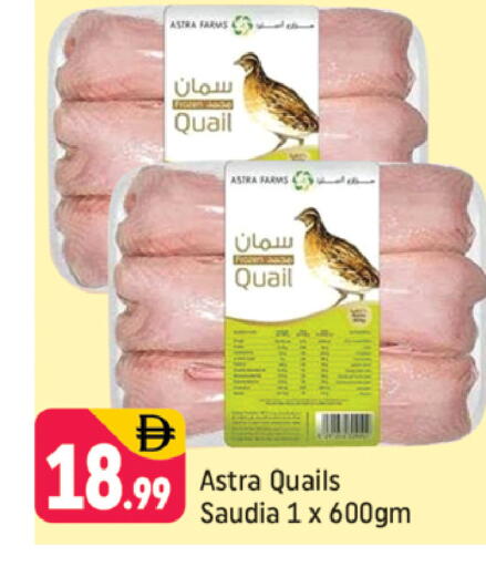 available at شكلان ماركت in الإمارات العربية المتحدة , الامارات - دبي