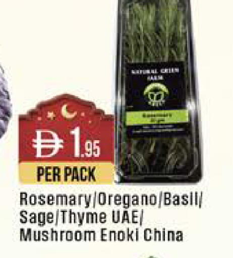 Rosemary Oregano Basil Sage Thyme Mushroom from China available at West Zone Supermarket in UAE - Dubai
