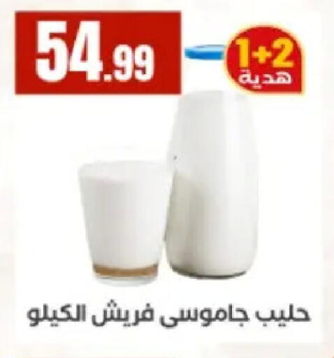 available at El Mahlawy Stores in Egypt - Cairo