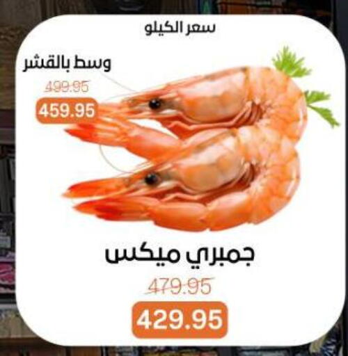 available at بيت الجملة in Egypt - القاهرة