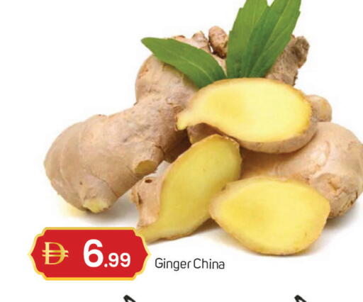 Ginger from China available at سوق طلال in الإمارات العربية المتحدة , الامارات - دبي