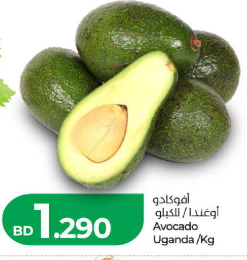 Avocado from Uganda available at لولو هايبر ماركت in البحرين