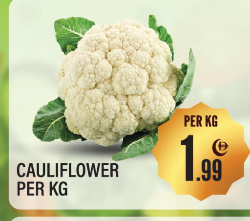 Cauliflower available at Dream Land in UAE - Sharjah / Ajman