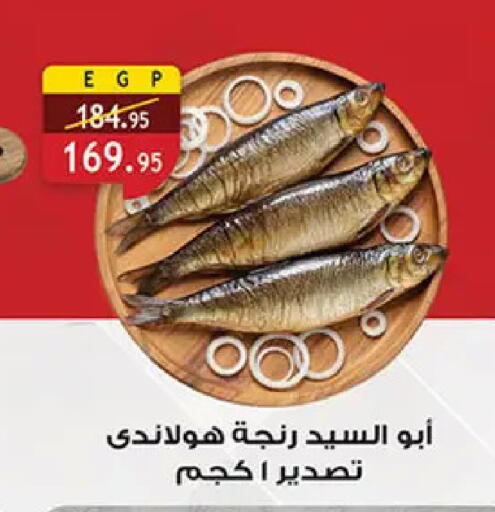 available at الرايه  ماركت in Egypt - القاهرة