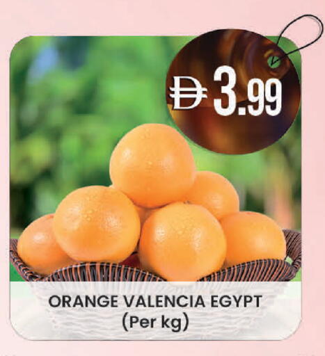 Orange from Egypt available at Safa Express Supermarket in UAE - Al Ain