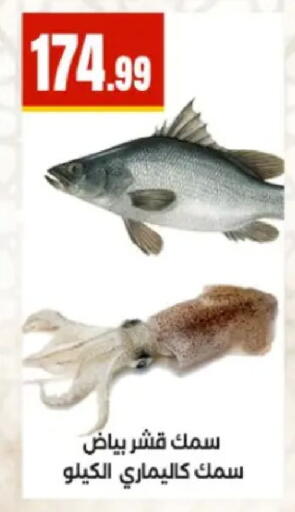 available at المحلاوي ستورز in Egypt - القاهرة