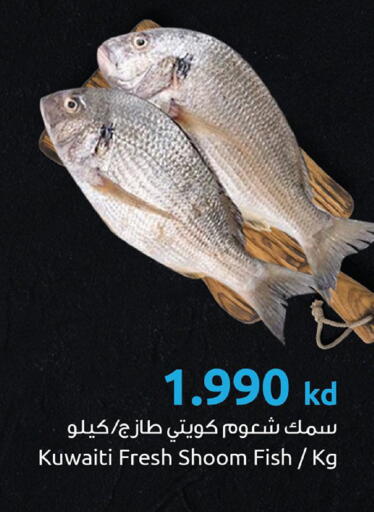 available at The Sultan Center in Kuwait - Kuwait City