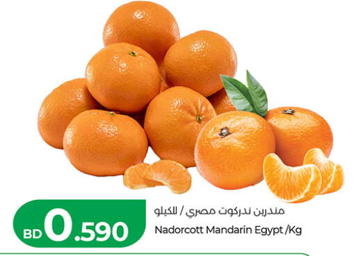 Mandarin from Egypt available at لولو هايبر ماركت in البحرين