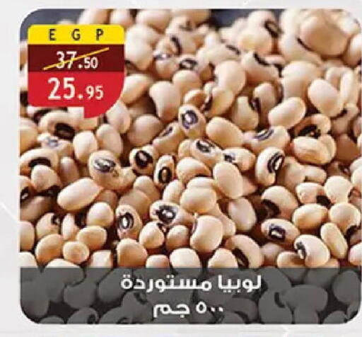 available at Al Rayah Market   in Egypt - Cairo