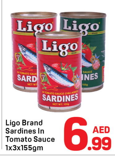 Tomato available at Day to Day Department Store in UAE - Dubai