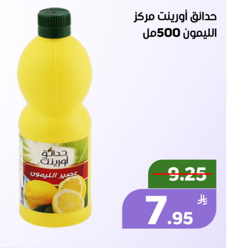 Apple available at أسواق جرين أبل in مملكة العربية السعودية, السعودية, سعودية - الأحساء‎