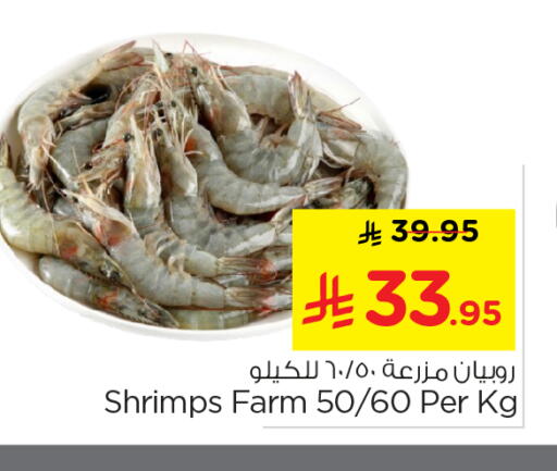 available at نستو in مملكة العربية السعودية, السعودية, سعودية - المجمعة