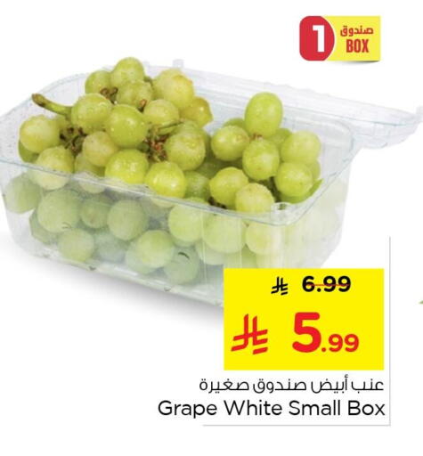 available at نستو in مملكة العربية السعودية, السعودية, سعودية - الجبيل‎