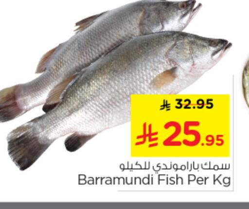 available at نستو in مملكة العربية السعودية, السعودية, سعودية - الرياض