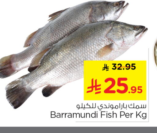 available at نستو in مملكة العربية السعودية, السعودية, سعودية - المجمعة