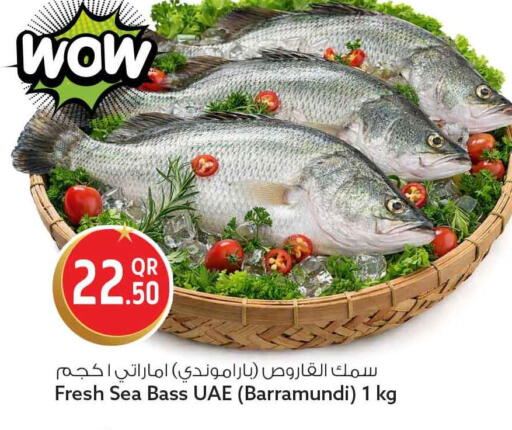 available at Safari Hypermarket in Qatar - Al Wakra