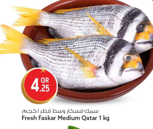 available at Safari Hypermarket in Qatar - Al Wakra