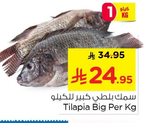 available at Nesto in KSA, Saudi Arabia, Saudi - Al Hasa