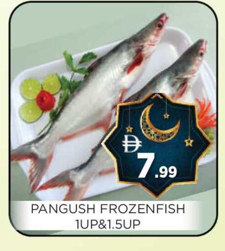 available at عين المدينة هايبرماركت in الإمارات العربية المتحدة , الامارات - الشارقة / عجمان